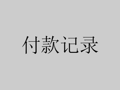 支付记录